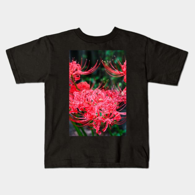 Red Spider Lily Kids T-Shirt by RLan